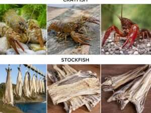 Etinan Stock Fish
